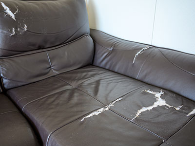 部分張り替え⼯法